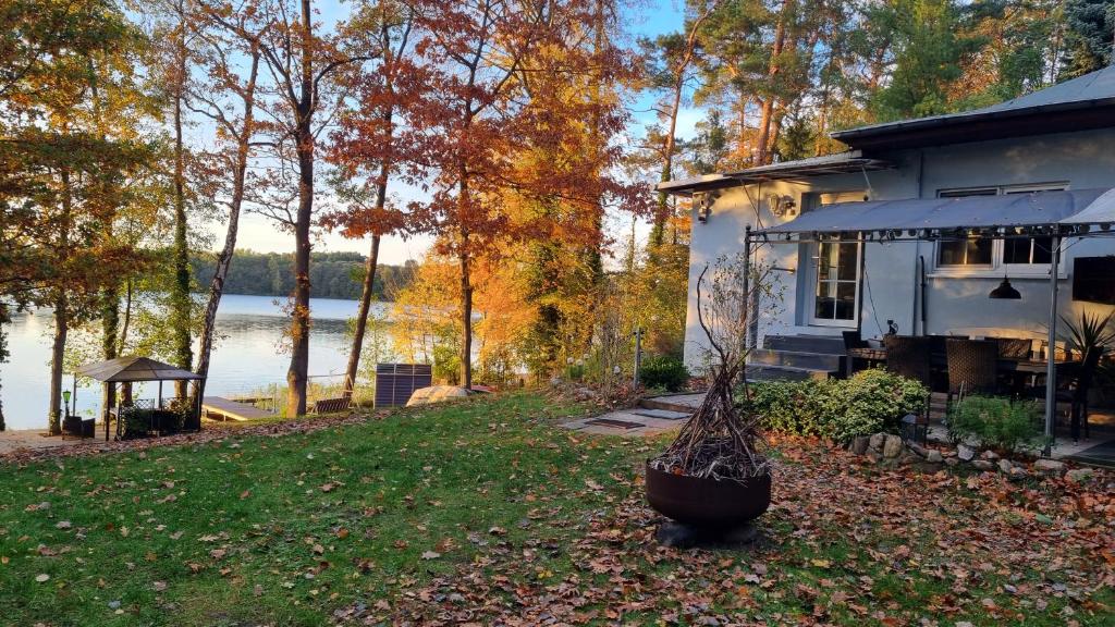 Haus am See in Zesch am See photo 1