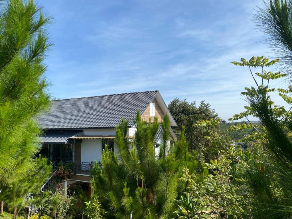 Villa sang trọng - Mộc Hương farmstay
