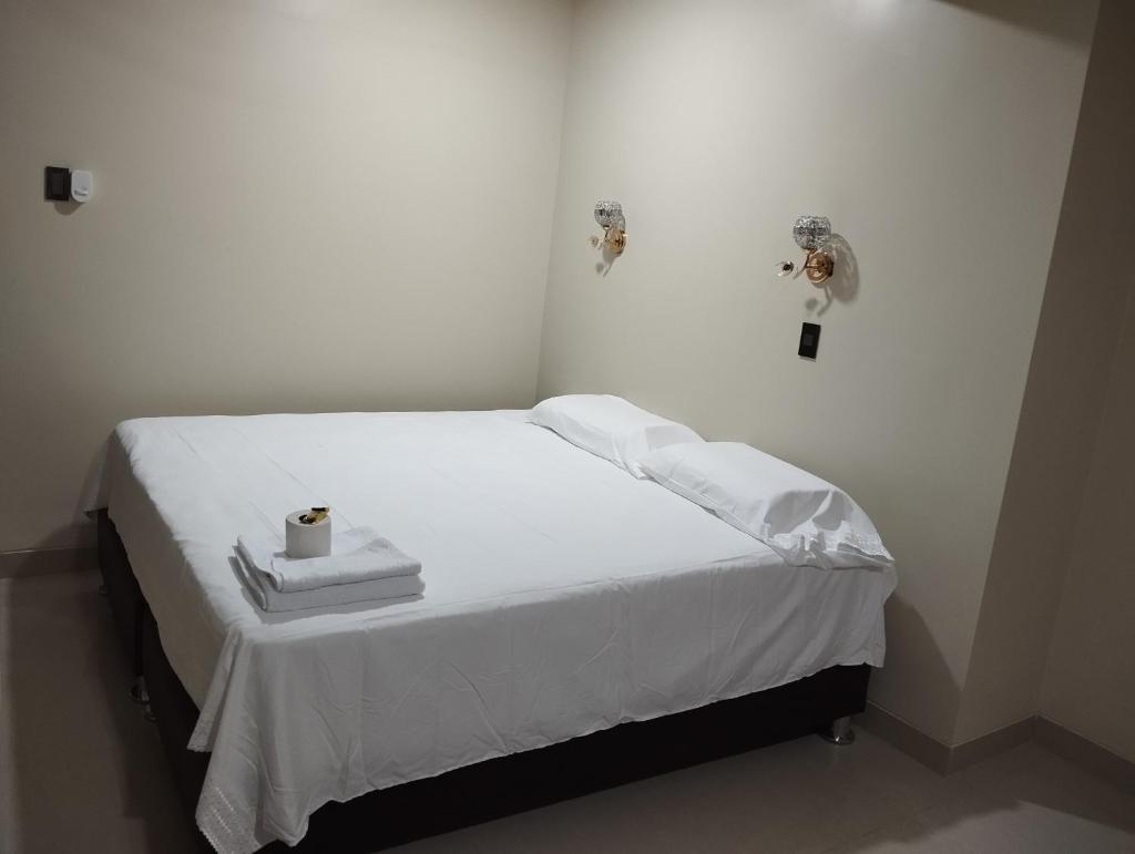 Hotel Amazon deluxe photo 3