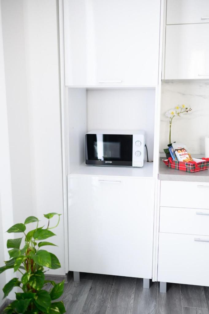 Apartament Radiana photo 2