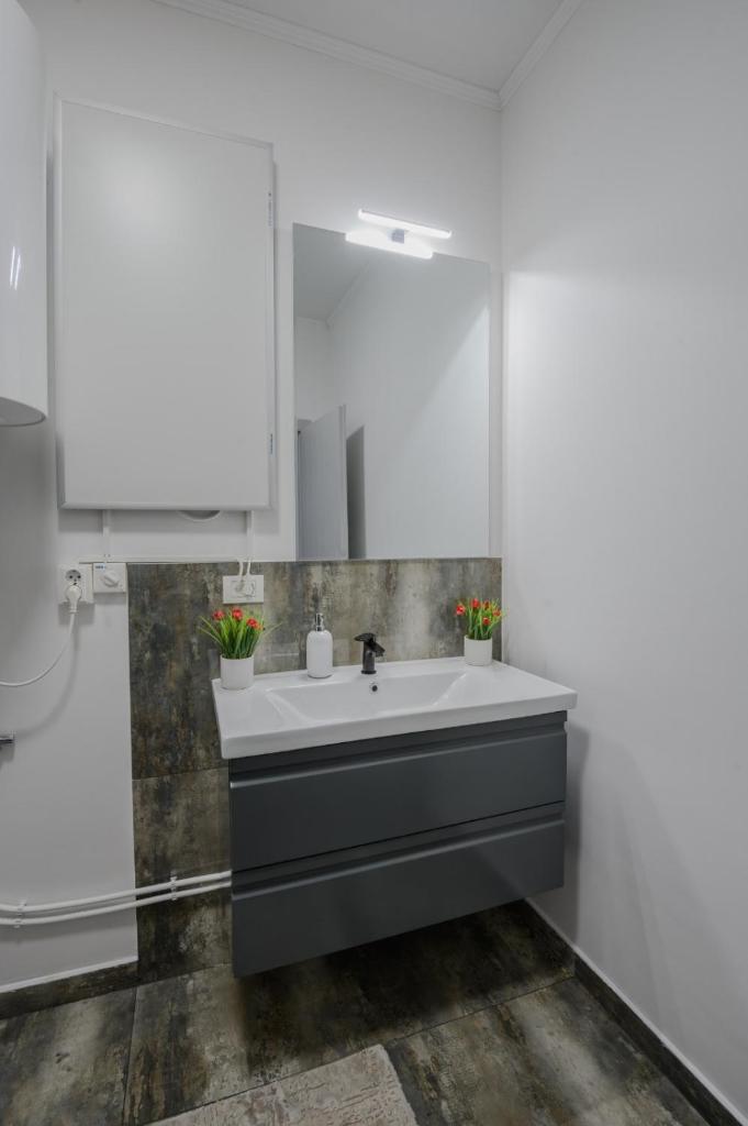 Apartament Radiana photo 4