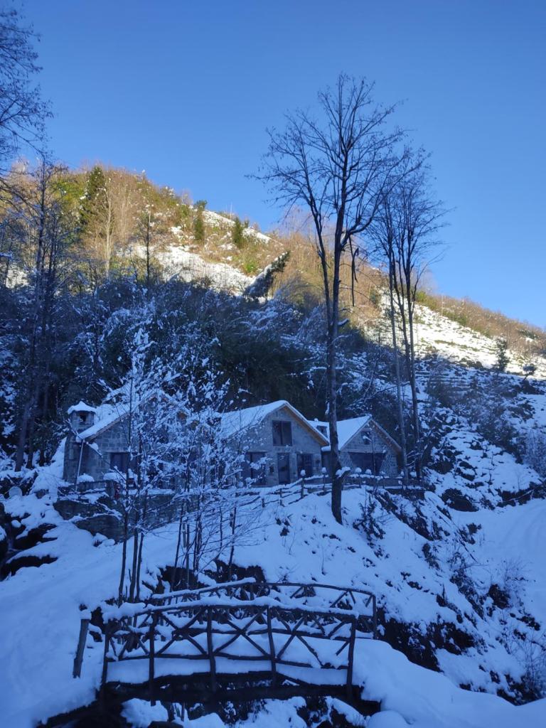 Elavina Suit Bungalov photo 1