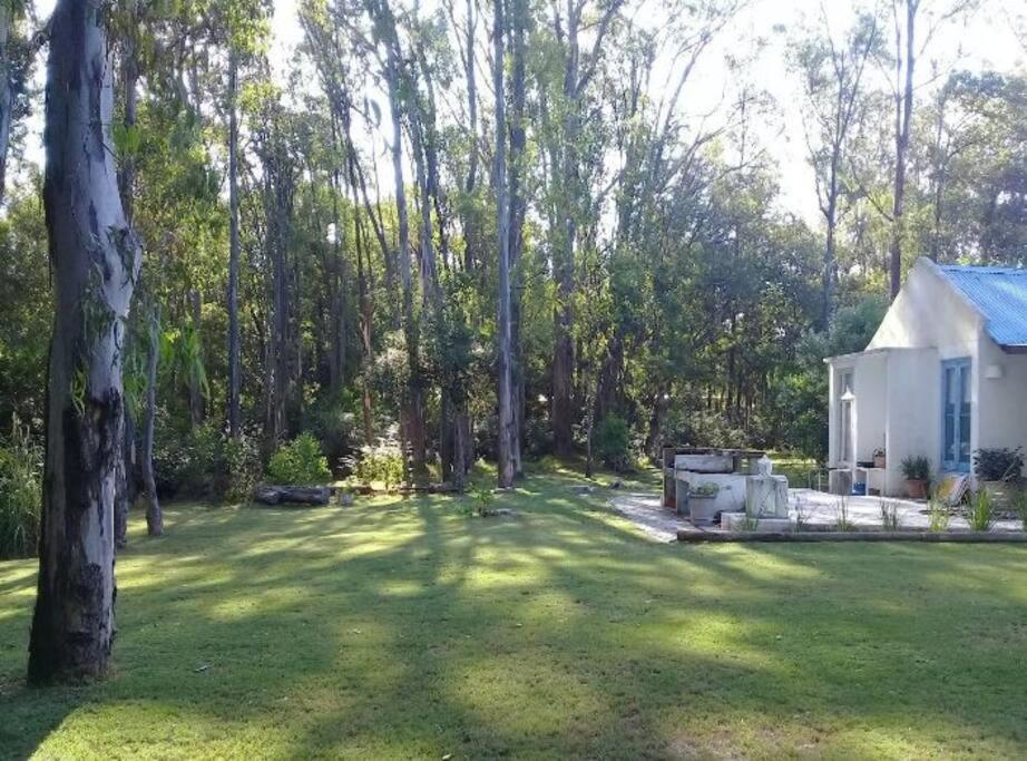 Casa payesa en el bosque, La Barra. photo 1