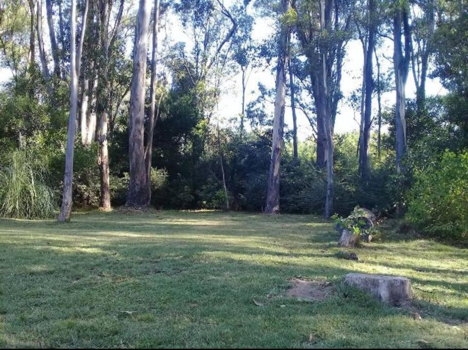 Casa payesa en el bosque, La Barra. photo 4