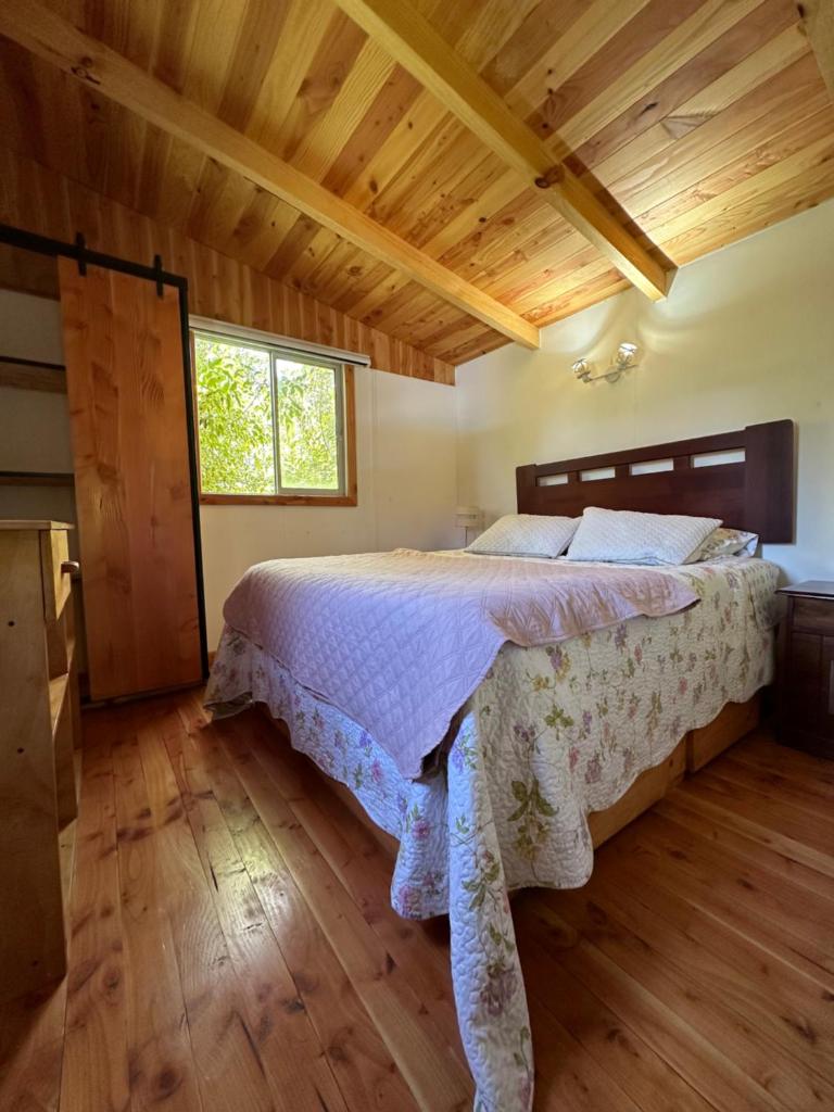 CABAÑAS Mony photo 4