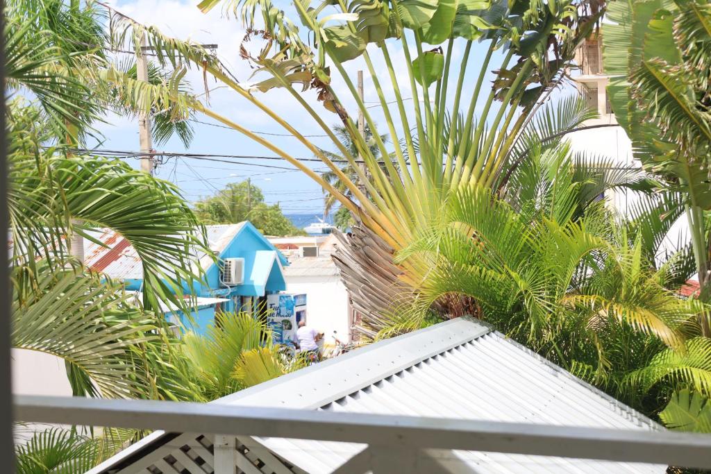 Bayahibe Guest House Hotel photo 1
