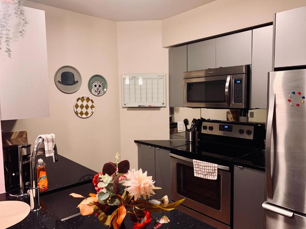 Tasteful Apt #108, Shared Rooftop Area photo 2