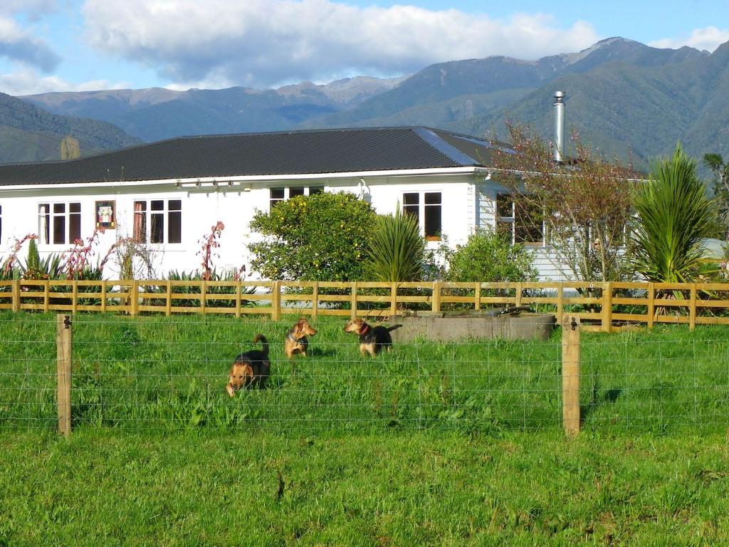 Totara Glen photo 2