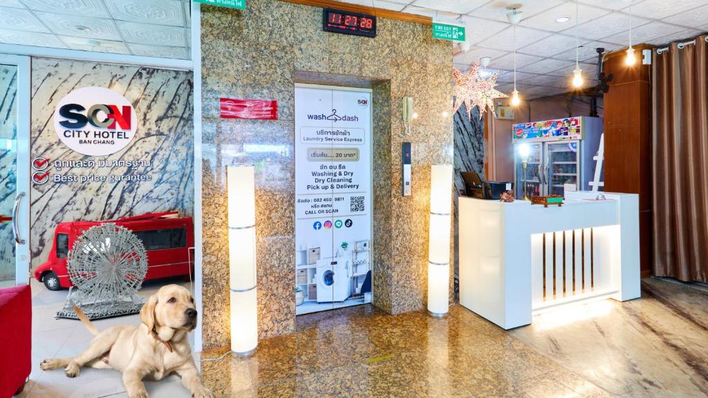 SCN Pet-friendly Hotel โรงแรมรับสัตว์เลี้ยง photo 2