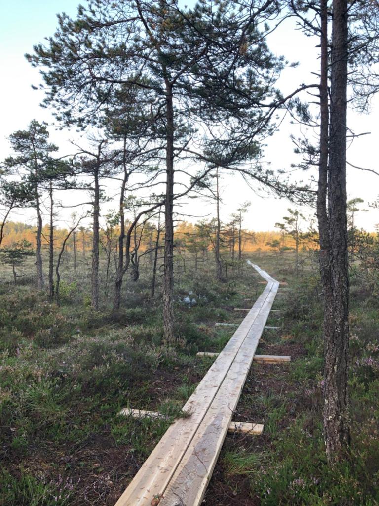 Kylås Vildmark photo 1