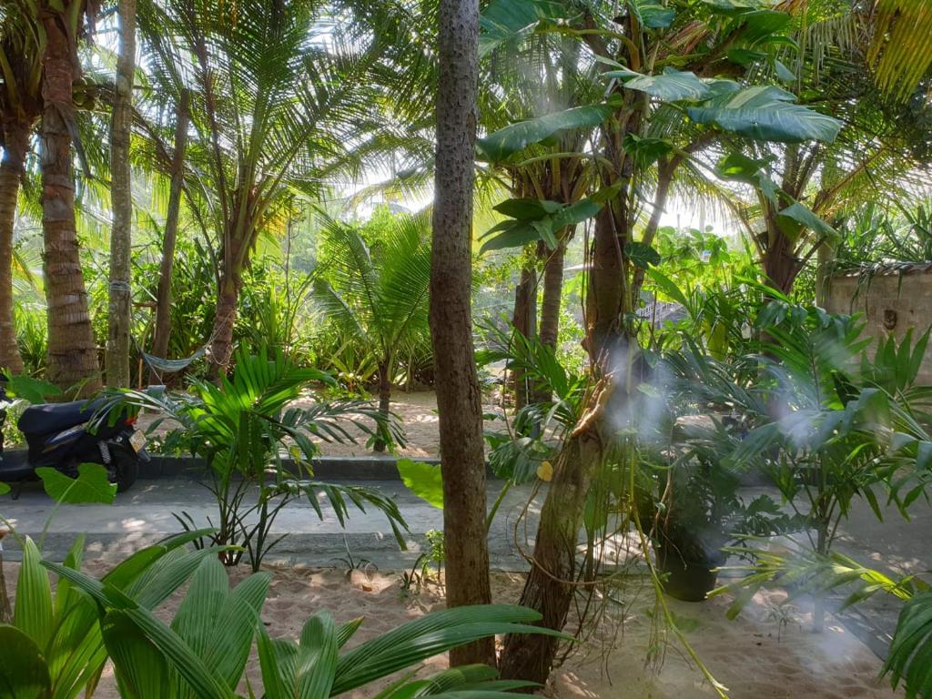Gems Garden Guest House photo 4