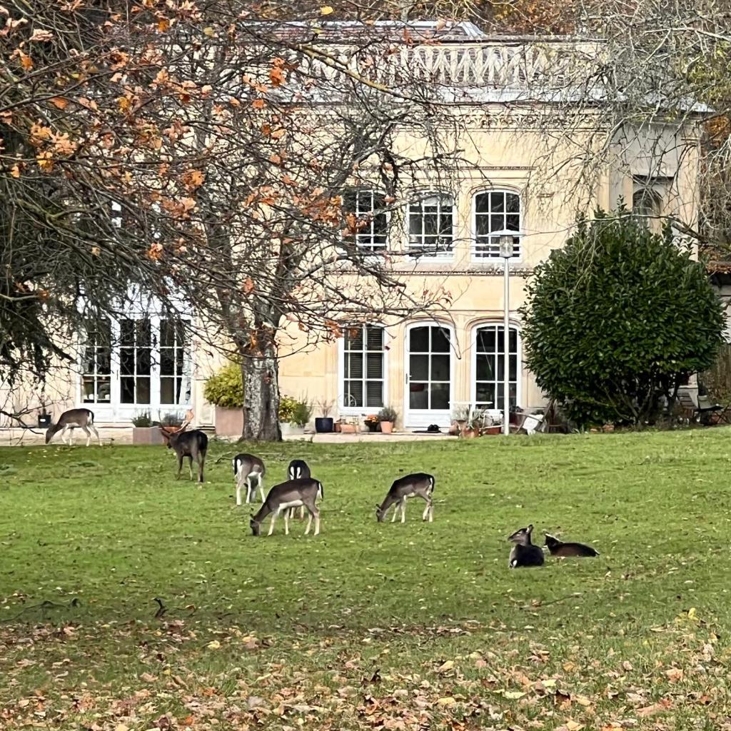 Grandes chambres dans un corps de ferme rénové du château du Piple, à 16km de Paris photo 1