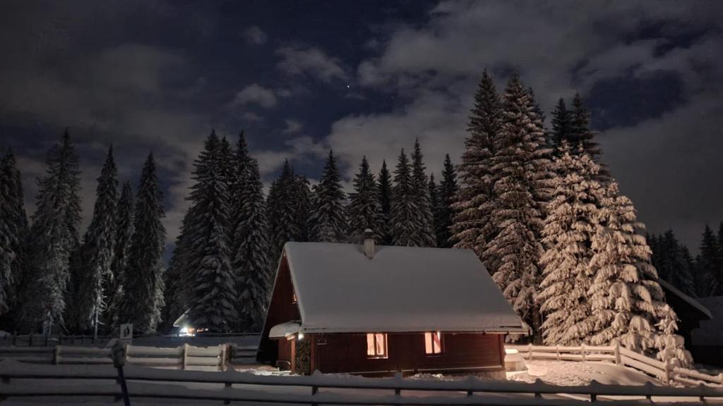 Cosy Chalet on Pokljuka - Brunarica Tinkara photo 1