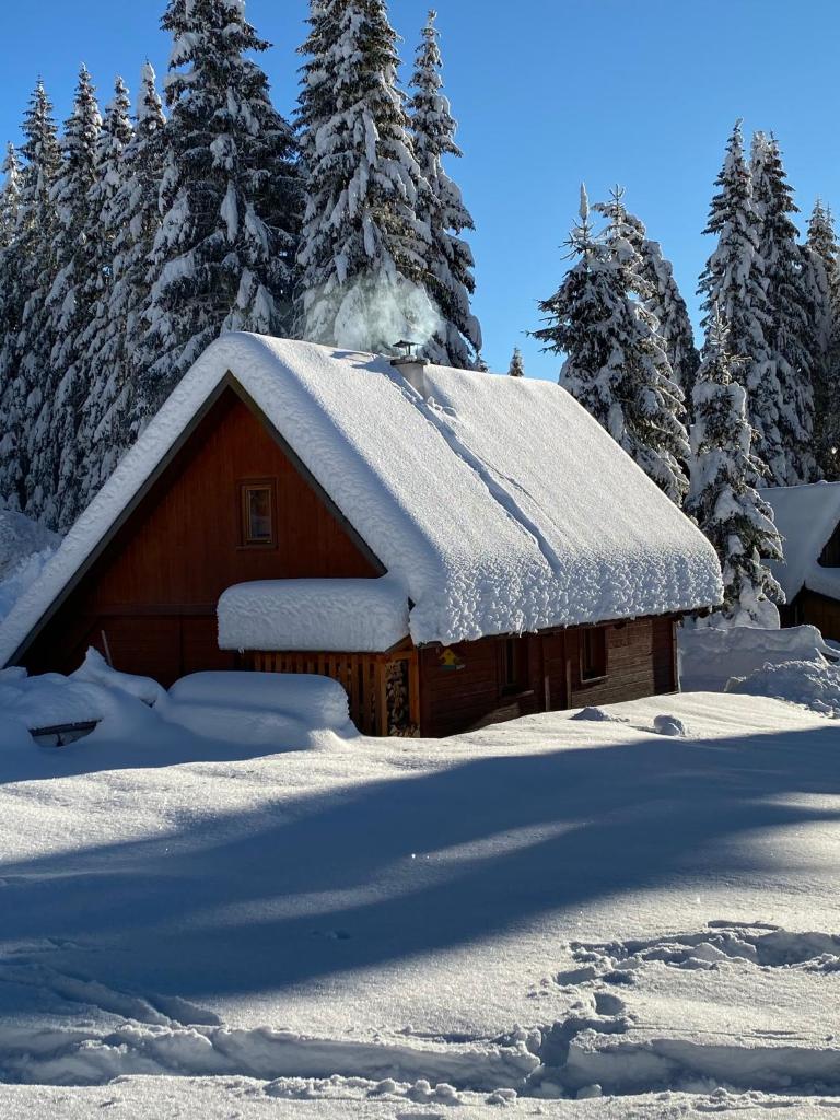 Cosy Chalet on Pokljuka - Brunarica Tinkara photo 3