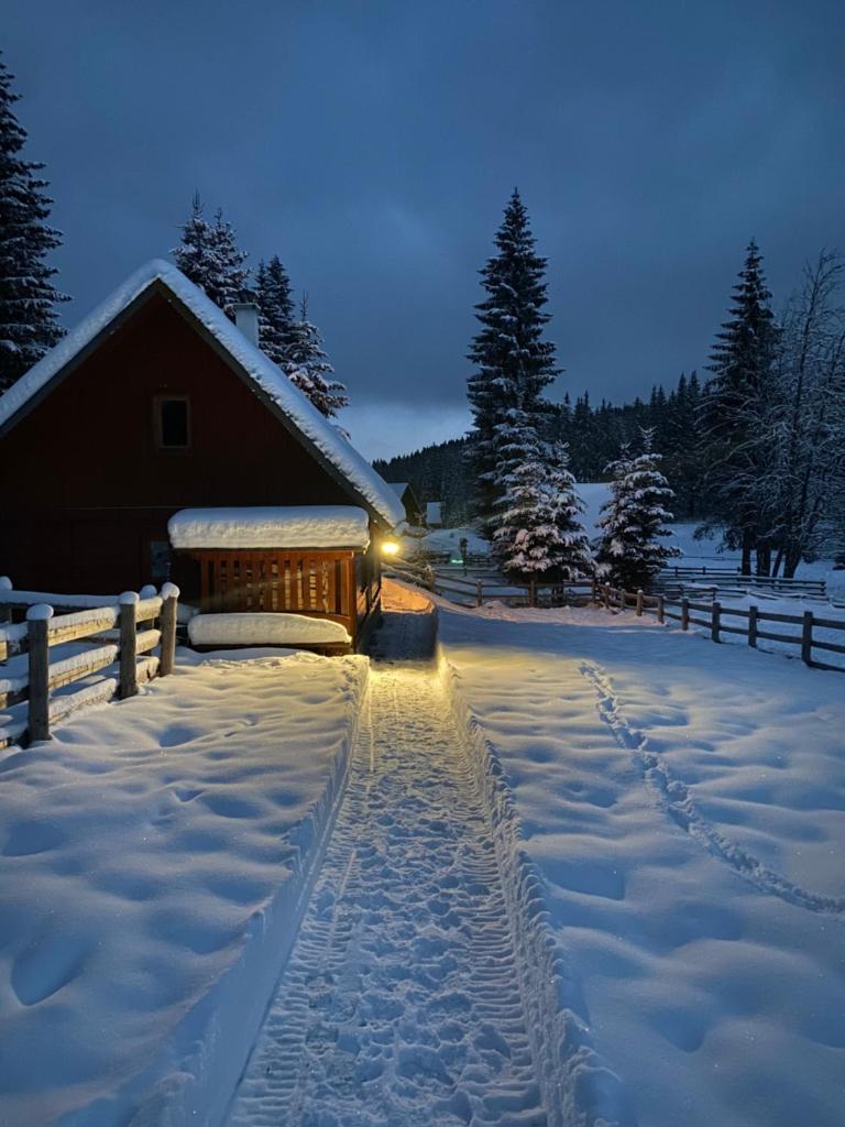 Cosy Chalet on Pokljuka - Brunarica Tinkara photo 2