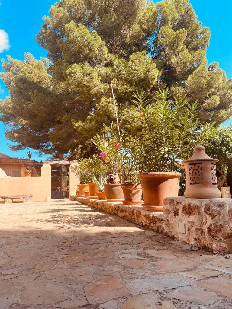 Finca Can Toni photo 3