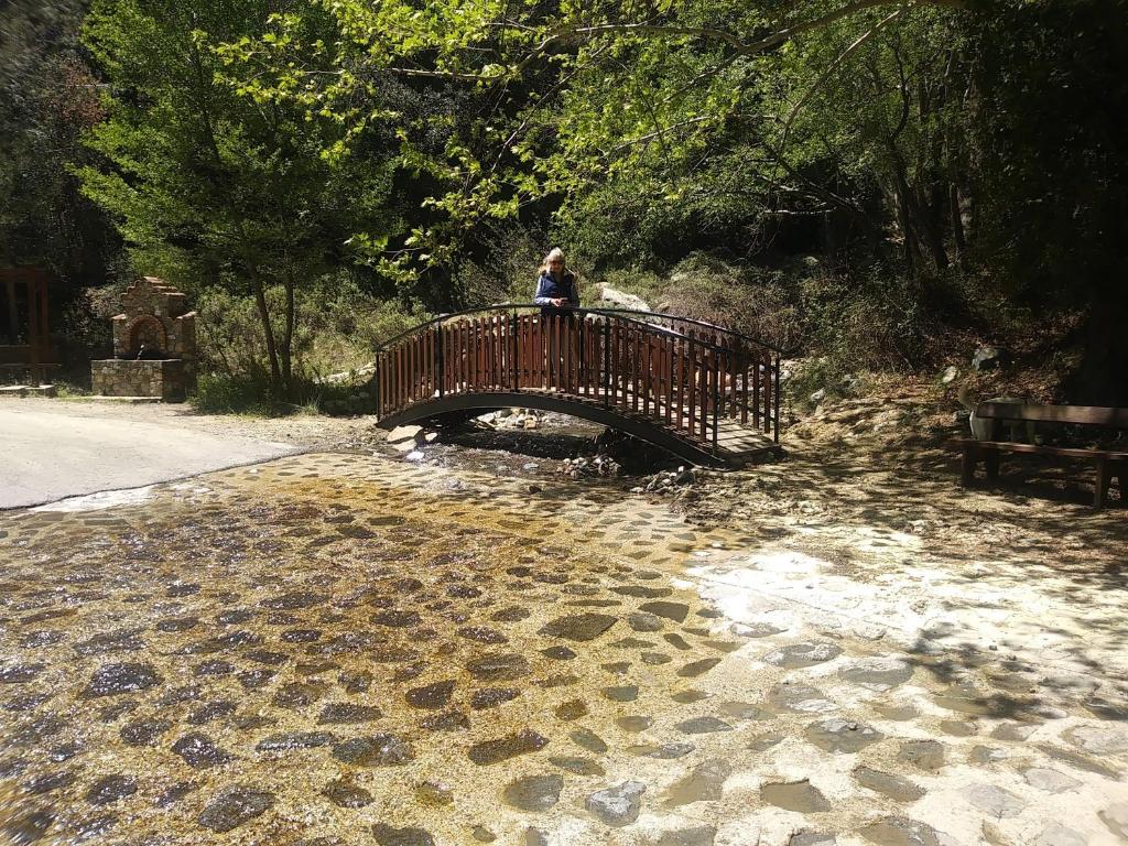 The Spidaki photo 1