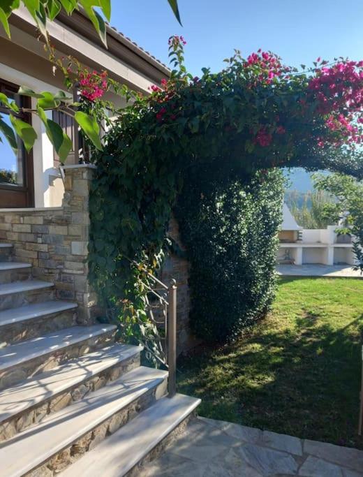The Villea Cottage - 5 bed house in Alli Meria photo 4