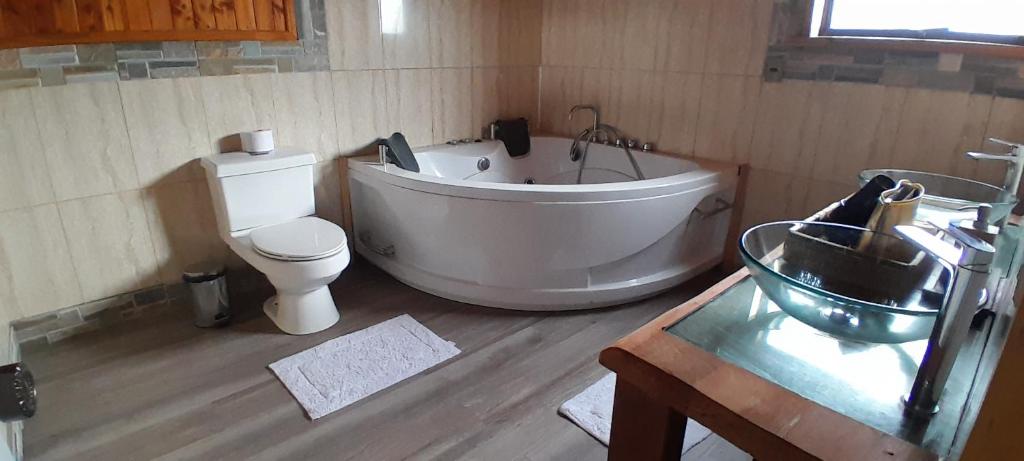 arriendo amplia casa con jacuzzi por días photo 2