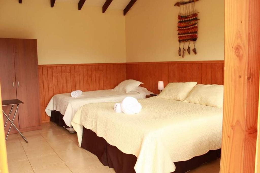 Del Bosque Pucón - Hostal photo 3