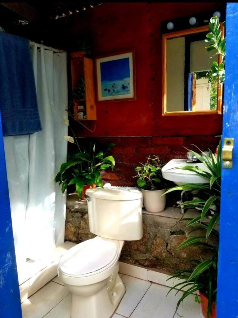 La casa de arturito photo 2