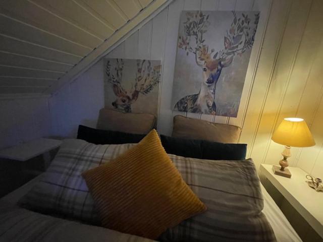 Koselig rom i tømmerhus, inkl morgenkaffe photo 4