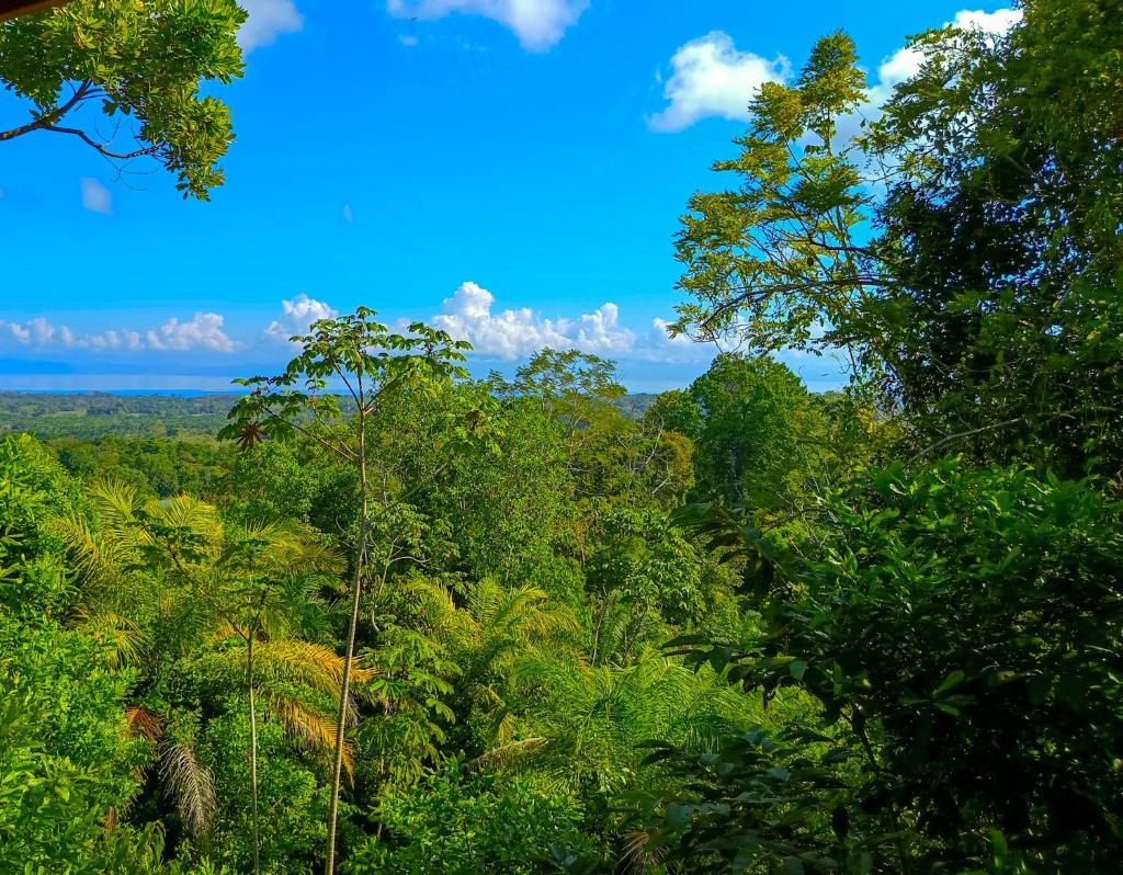Jungle & Ocean View Villa with Private Jacuzzi photo 4