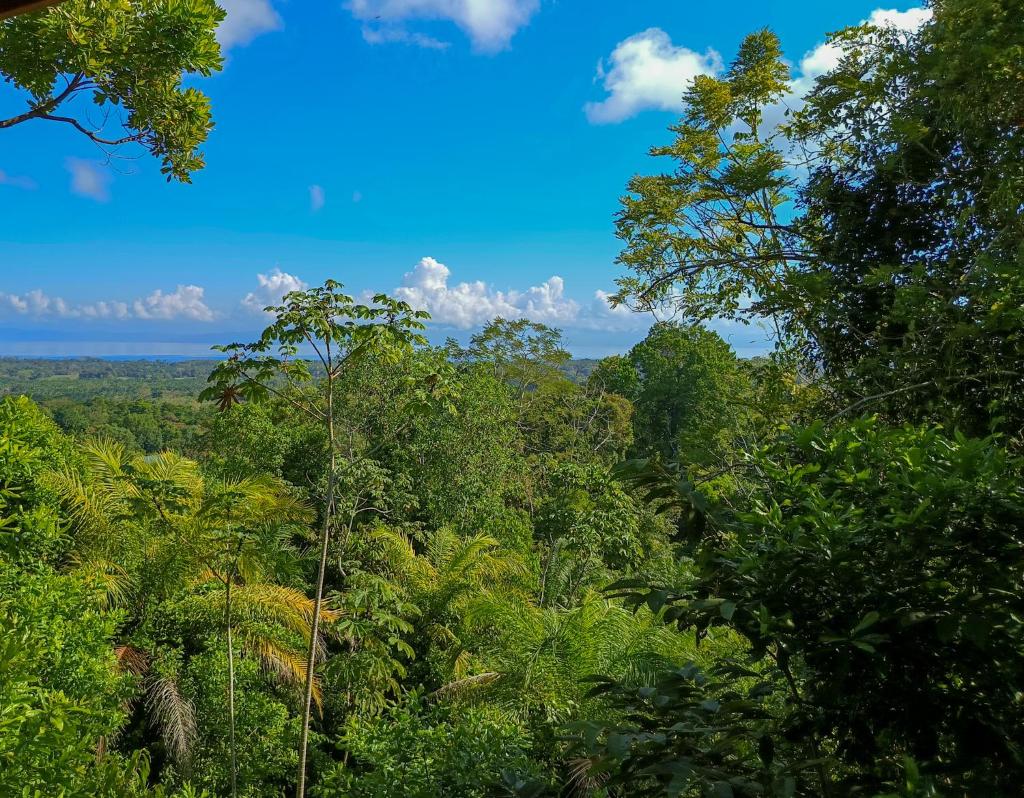 Jungle & Ocean View Villa with Private Jacuzzi photo 2
