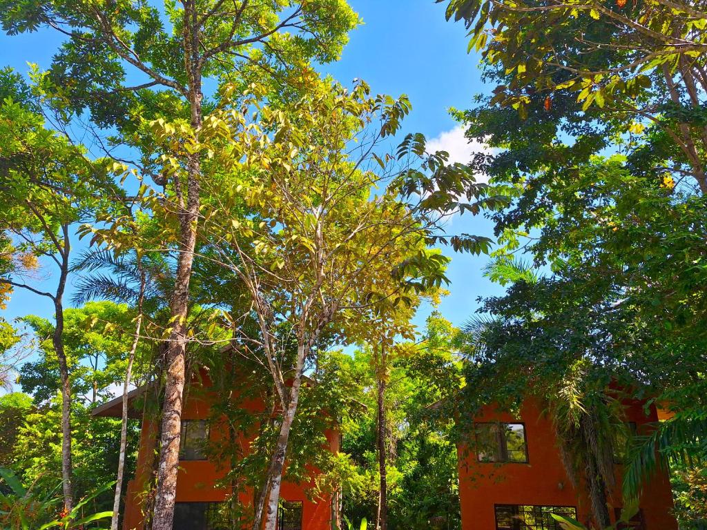 Jungle & Ocean View Villa with Private Jacuzzi photo 1