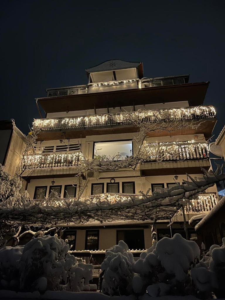Villa Malezan photo 3