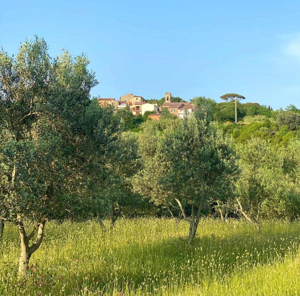 tre amici photo 2