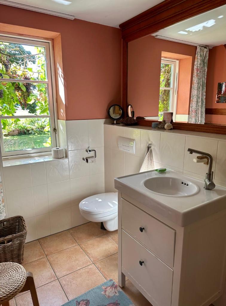 Mecklenbü mit Teich, Kamin, Sauna und Hotpott photo 4