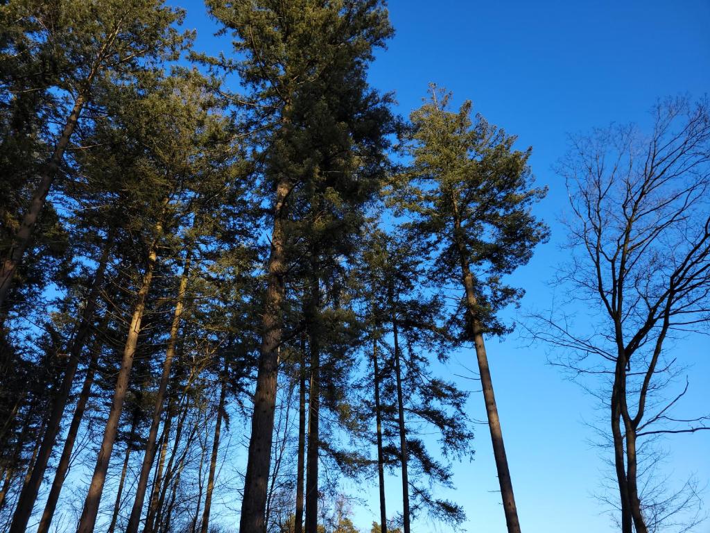 Secret Wellness Puur Natuur photo 2