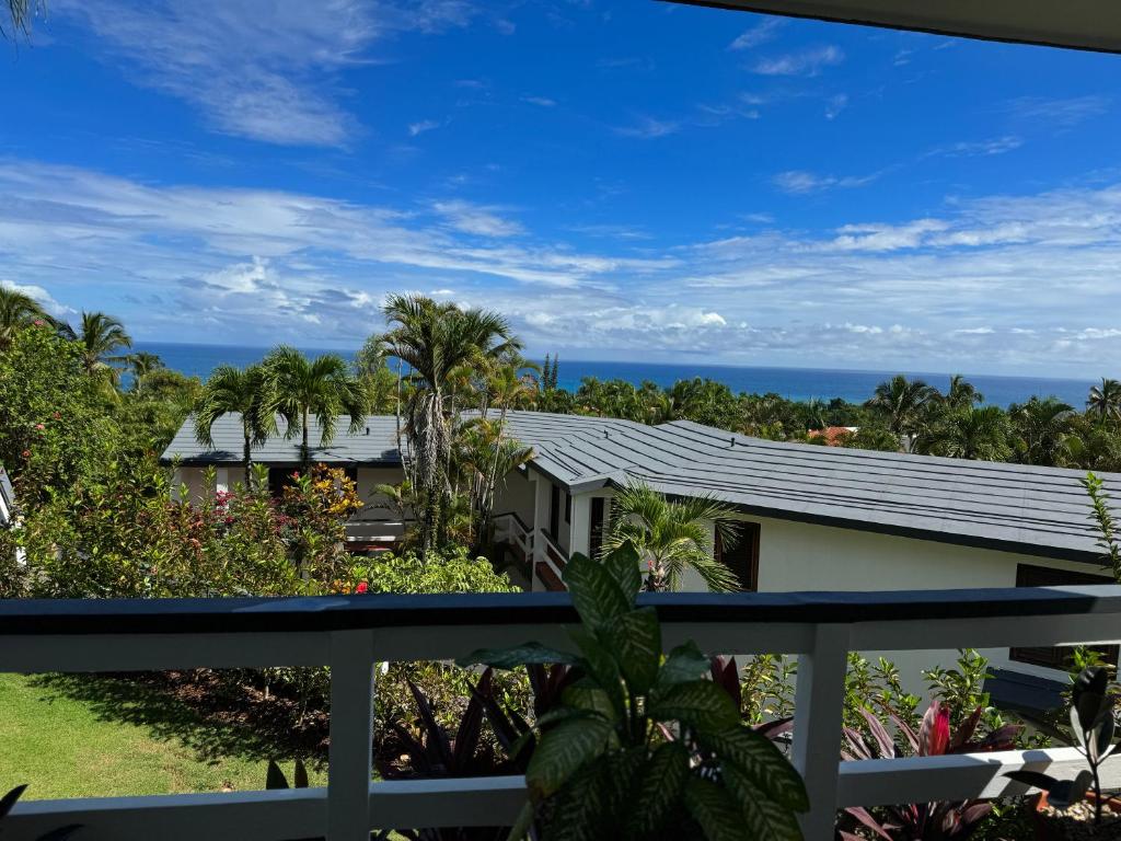 Catalina, Cabrera Oceanview Multi 2 BD 2 Bath Condo Units with Balcony and Pool photo 1
