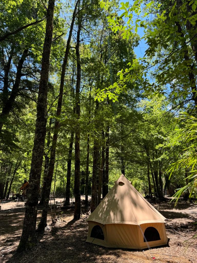 Casa del Árbol - Camping photo 2