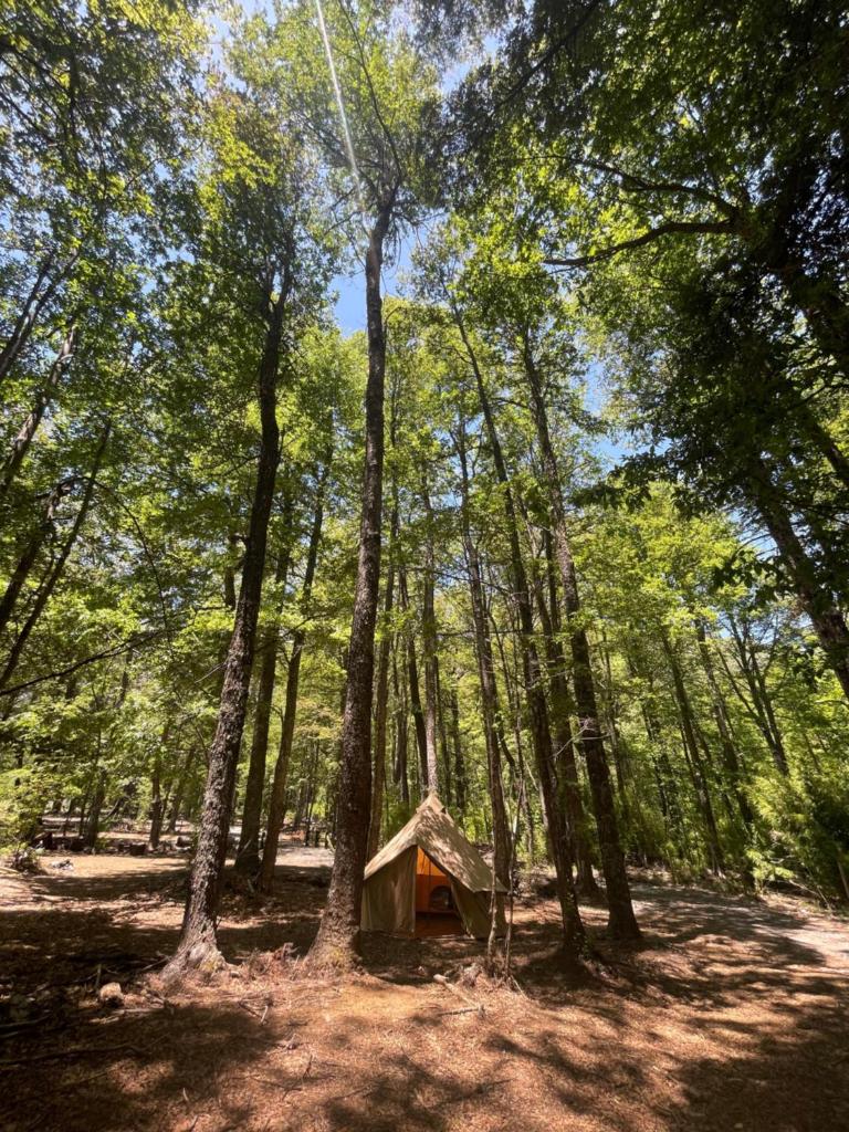 Casa del Árbol - Camping photo 1