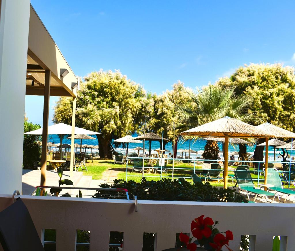 Eden Beach Hotel photo 3