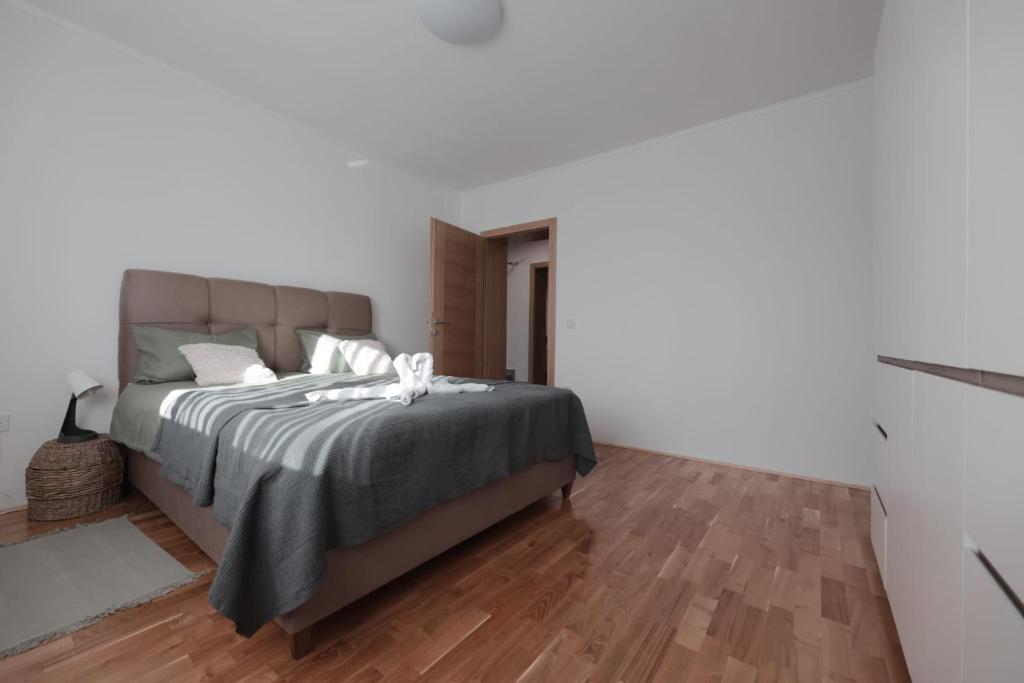 Apartmani Vinea Zara photo 3