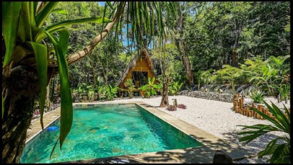 Cabinas de Lou Eco Lodge TAMARINDO photo 1