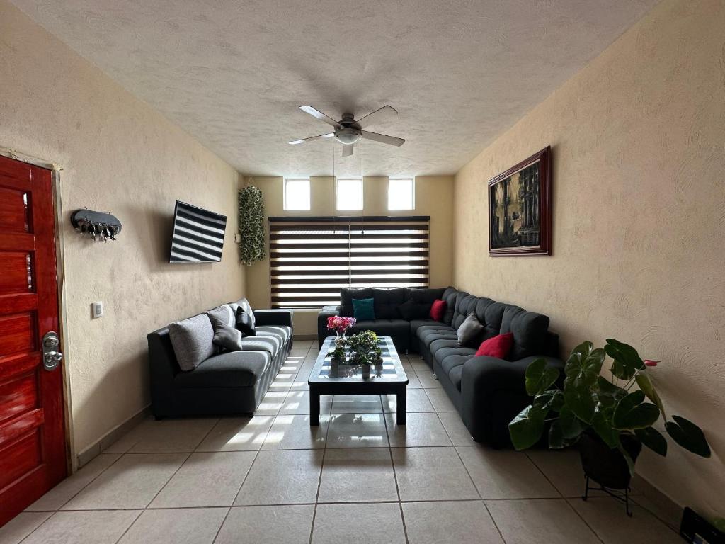 Casa Soltero photo 1
