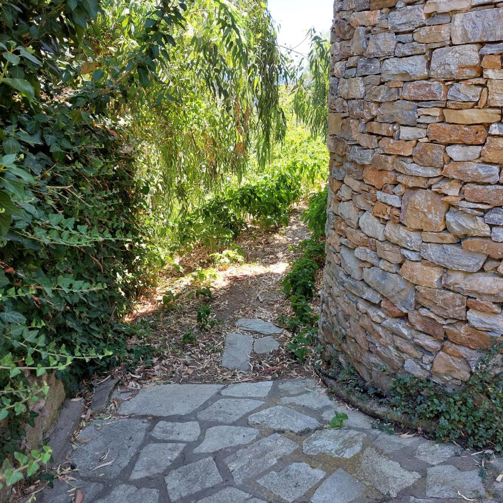 Sunrise house Alonnisos photo 3