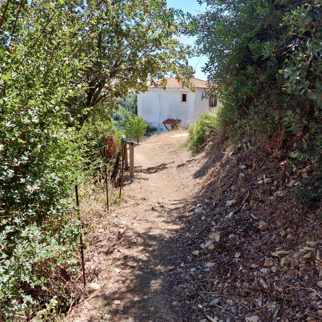 Sunrise house Alonnisos photo 1