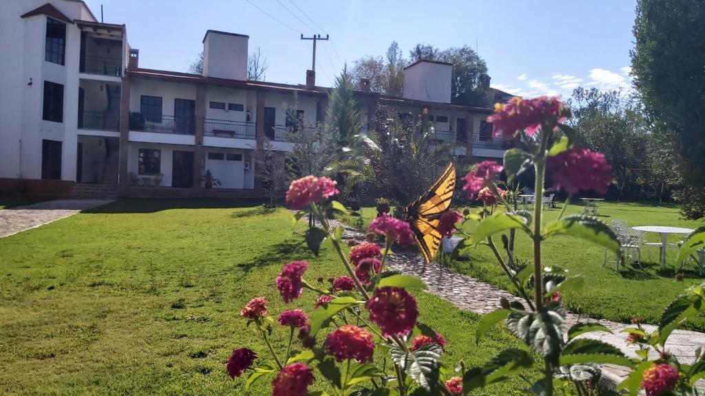 Hotel Finca Las Bovedas