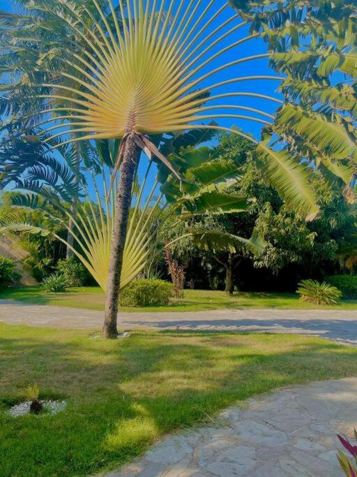 Luxury Villa Classic style - 7 min. from the beach photo 4