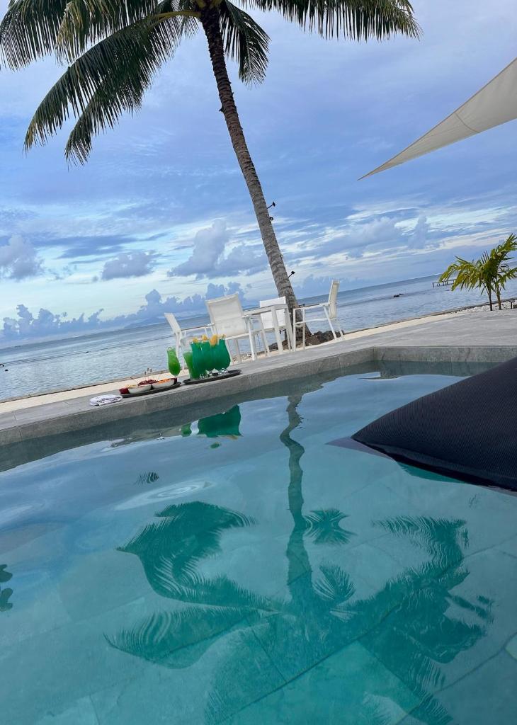 Pension Irivai appartement PUATOU 1 chambre bord de mer photo 2