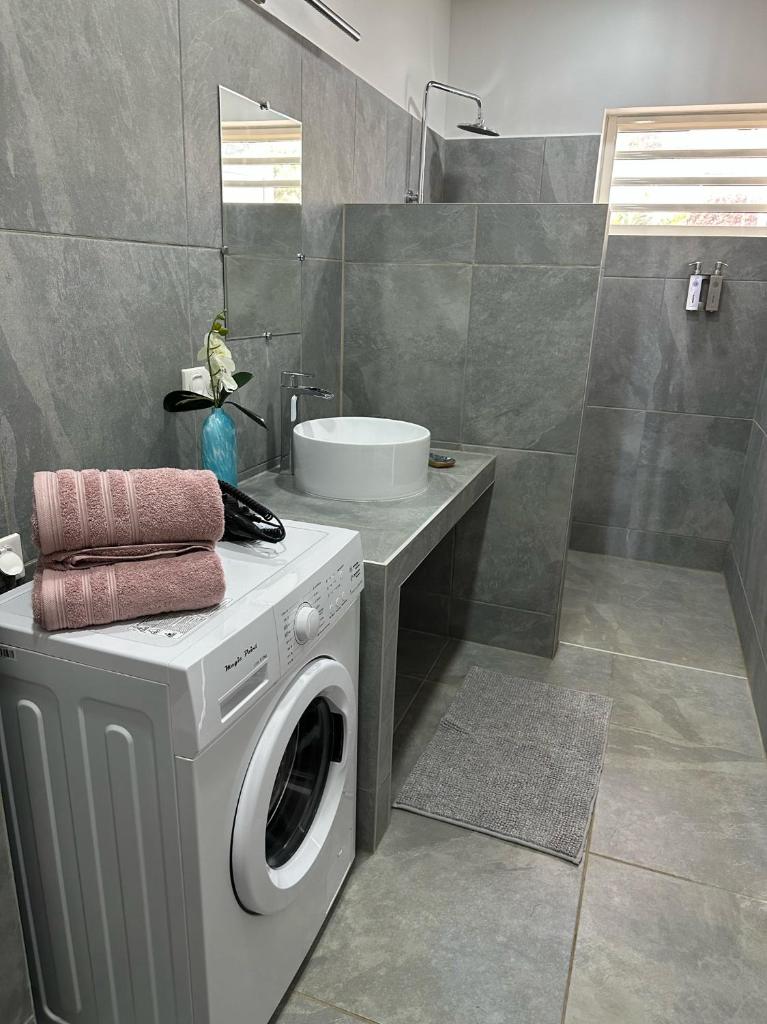 Pension Irivai appartement PUATOU 1 chambre bord de mer photo 4