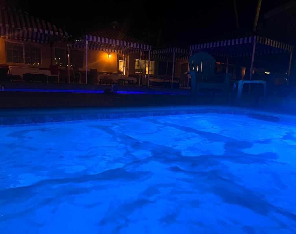 EDR Hotel - Adults Only & Clothing Optional photo 3