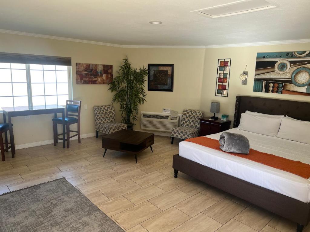 EDR Hotel - Adults Only & Clothing Optional photo 1