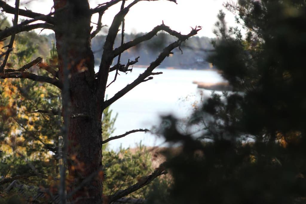 Cottage Charm - Cozy Getaway in the Archipelago photo 1