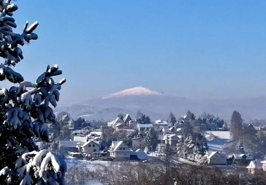 Pod Jednym Dachem photo 1